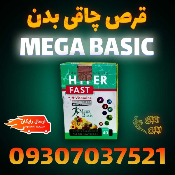 مگابیسیک