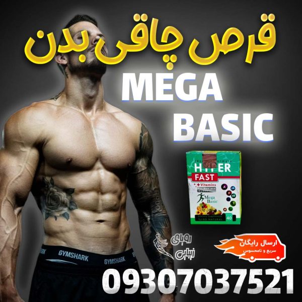 مگابیسیک