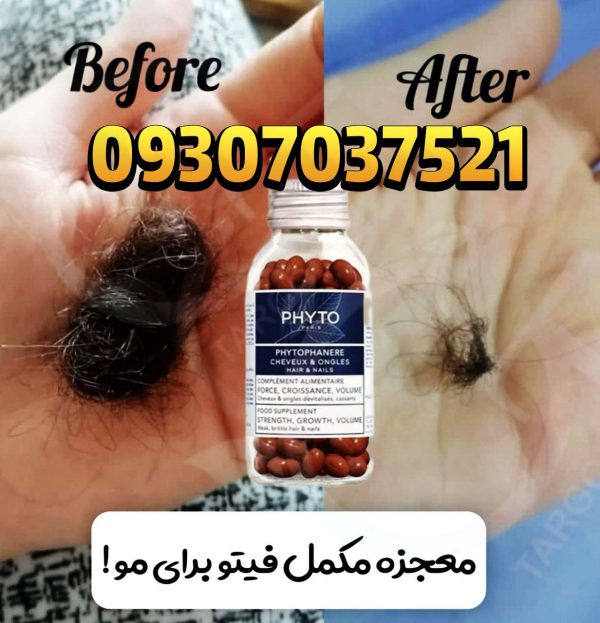 فیتو
